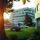 Dr. med. Dorothee Drüppel