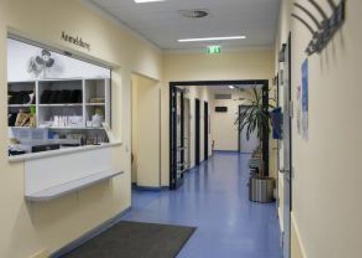 Universitaetsklinikum Halle4